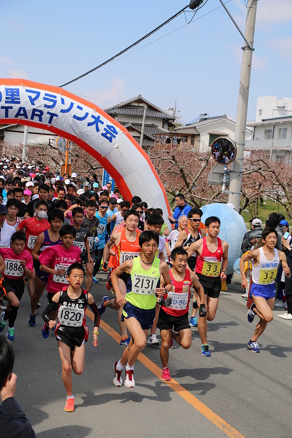 笛吹 市 桃 の 里 マラソン