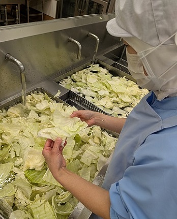 野菜洗浄