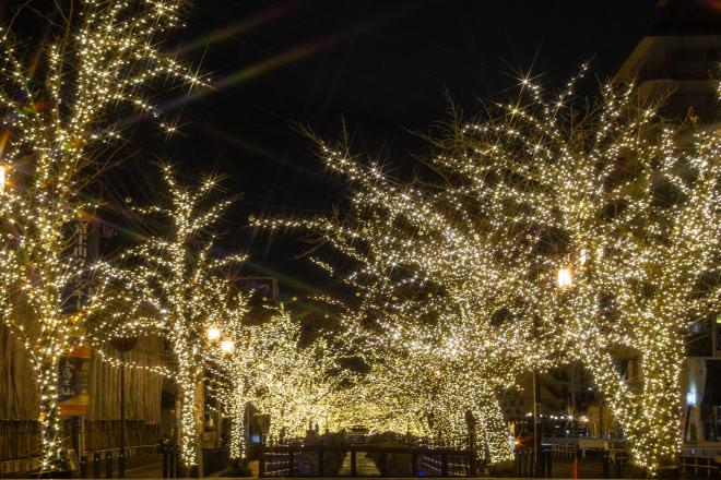 isawa_illumination2024