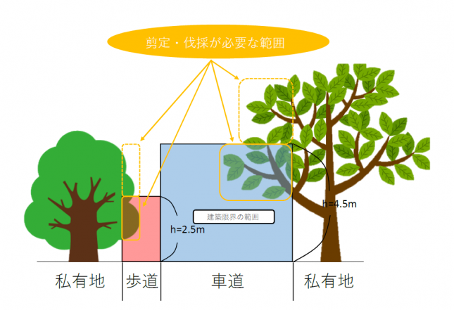 剪定・伐採が必要な範囲