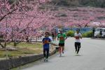 第15回笛吹市桃の里マラソン大会ランナーが走っている写真
