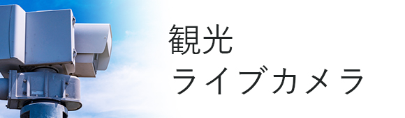 観光ライブカメラ