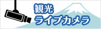 観光 ライブカメラ