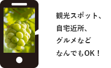観光スポット、自宅近所、グルメなどなんでもOK！